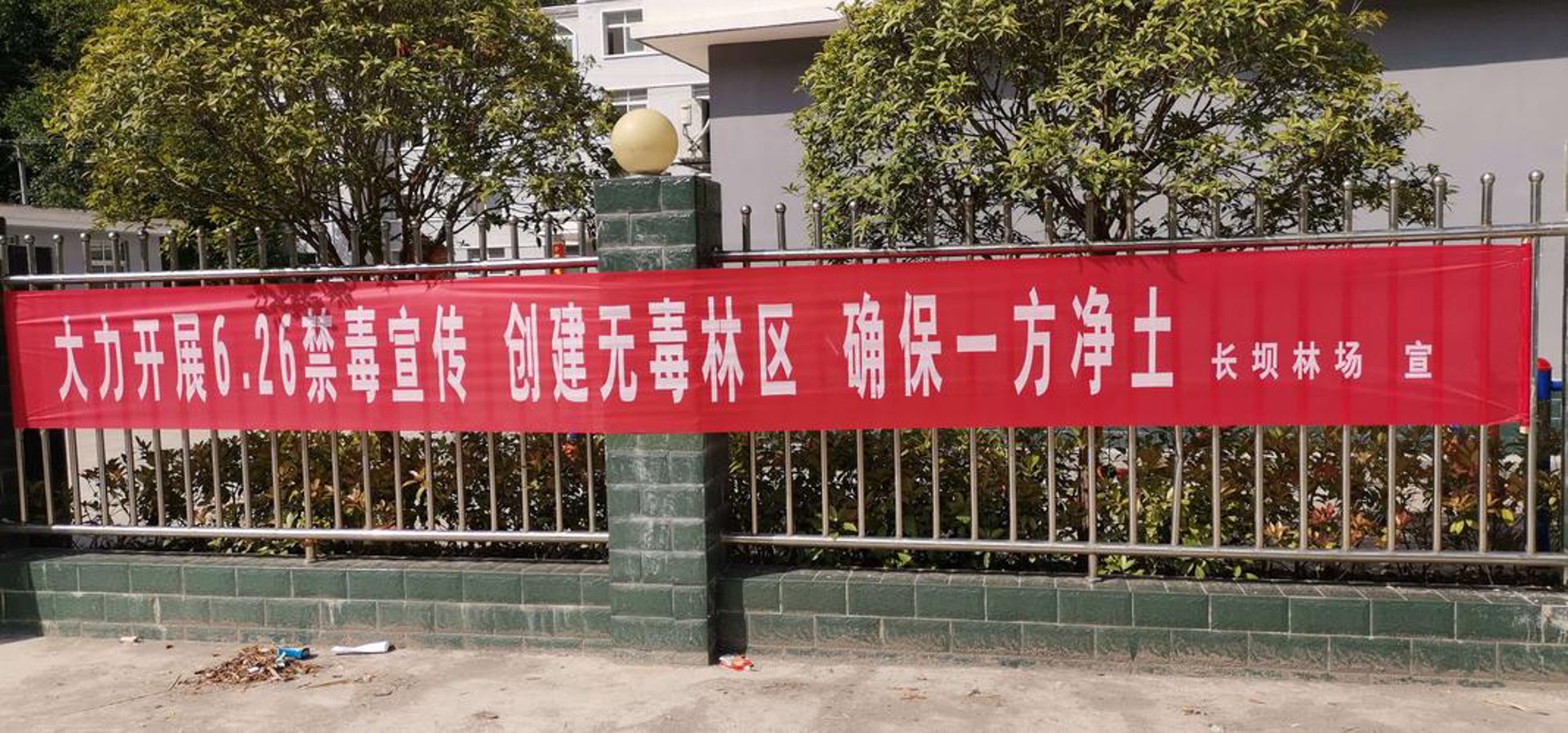 在线教育平台：引领学习新风尚